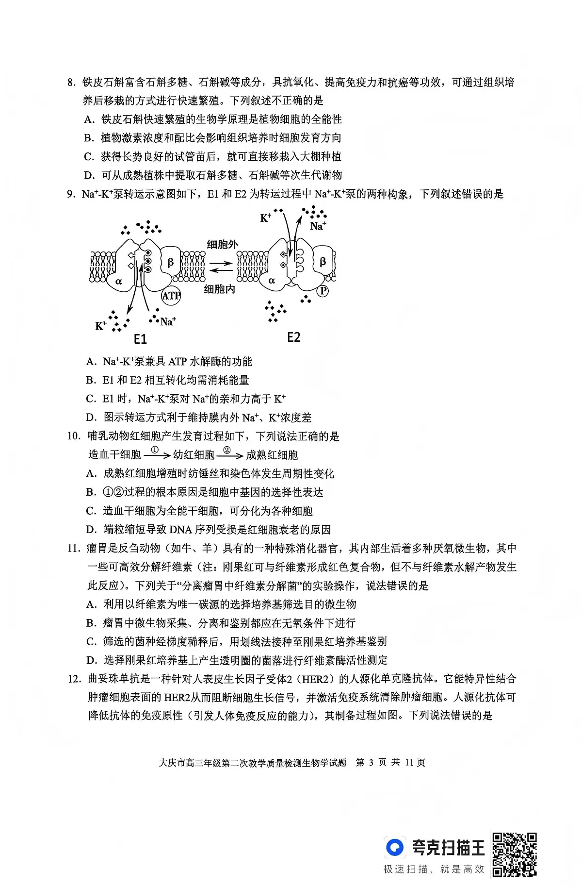 生物-黑龙江大庆市2026届高三年级上学期1月第二次教学质量检测试题+答案第3页