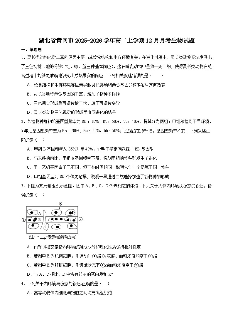 湖北省黄冈市重点高中2025-2026学年高二上学期12月月考试卷 生物(含答案）第1页