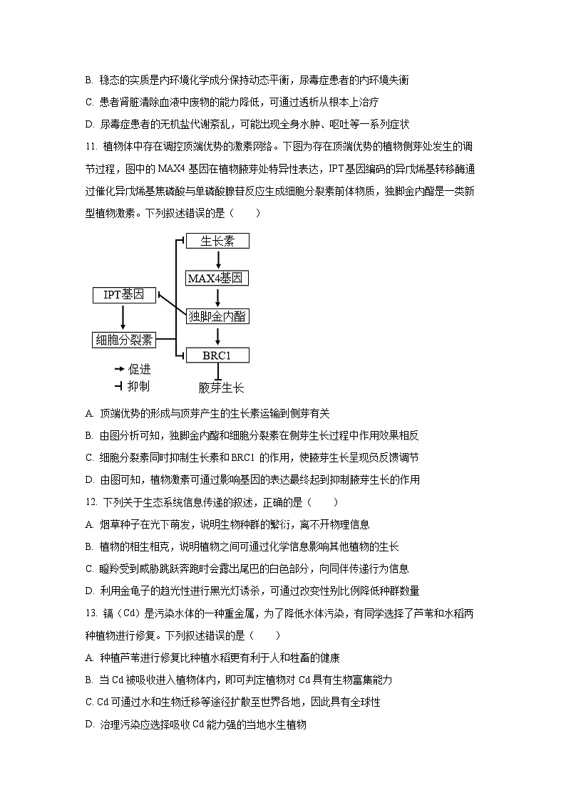2026届甘肃省多校高三上学期12月联考生物试卷（学生版）第3页