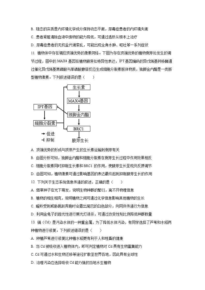 2026届甘肃省多校高三上学期12月联考生物试卷（学生版）第3页