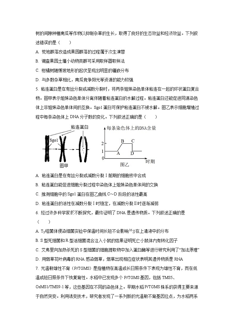 2026届河北省名校高三上学期12月一模生物试卷（学生版）第2页