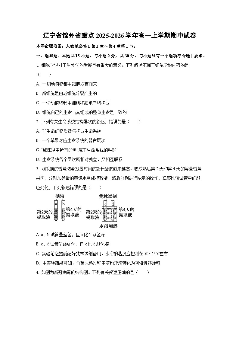 2025-2026学年辽宁省锦州省重点高一上学期期中生物试卷（学生版）第1页