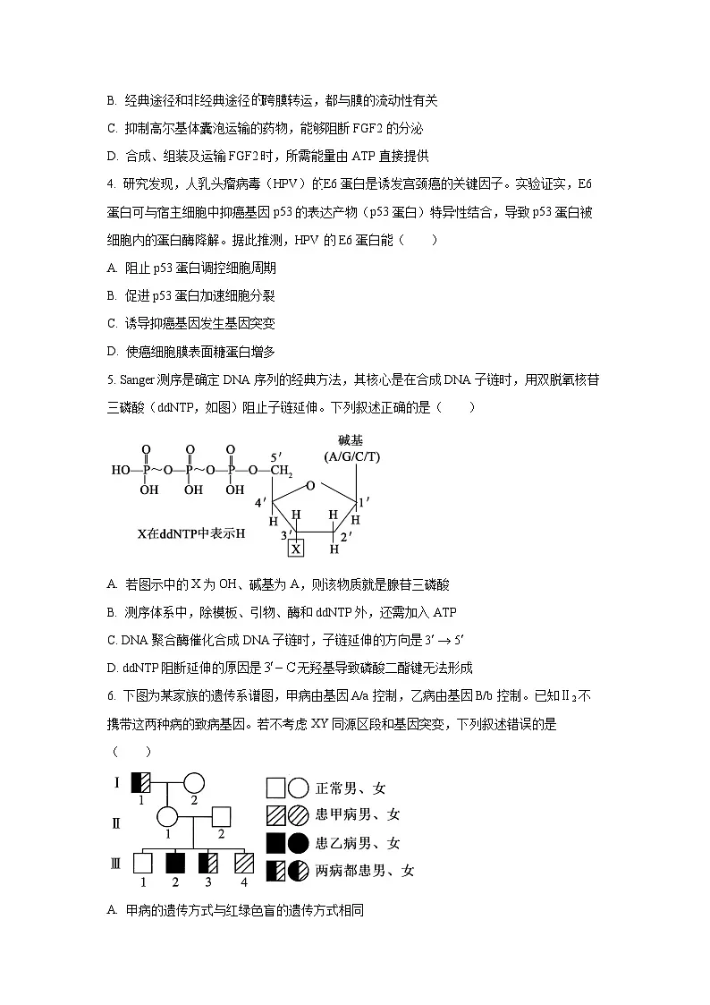 2026届四川省成都市高三第一次诊断性检测生物试卷（学生版）第2页