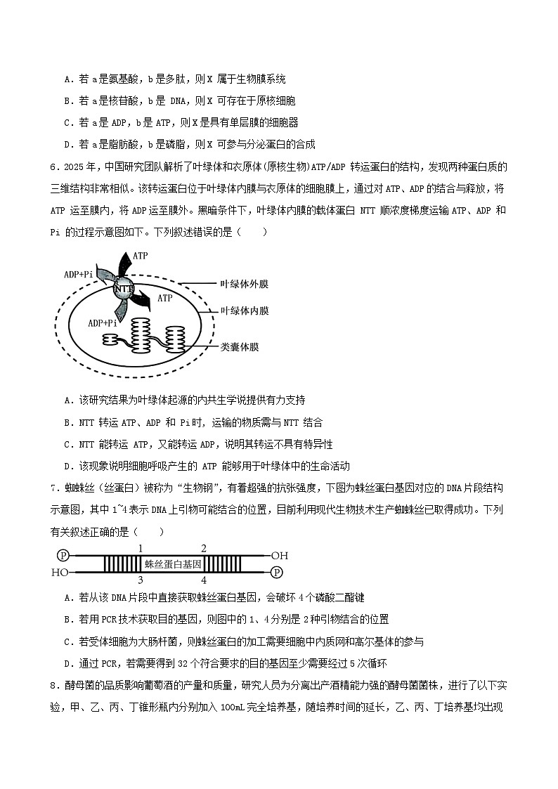 四川省内江市2026届高三生物上学期10月联考试题第2页