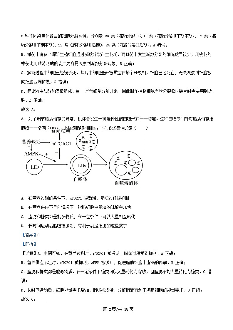 四川省内江市2026届高三生物上学期期中测试试题含解析第2页