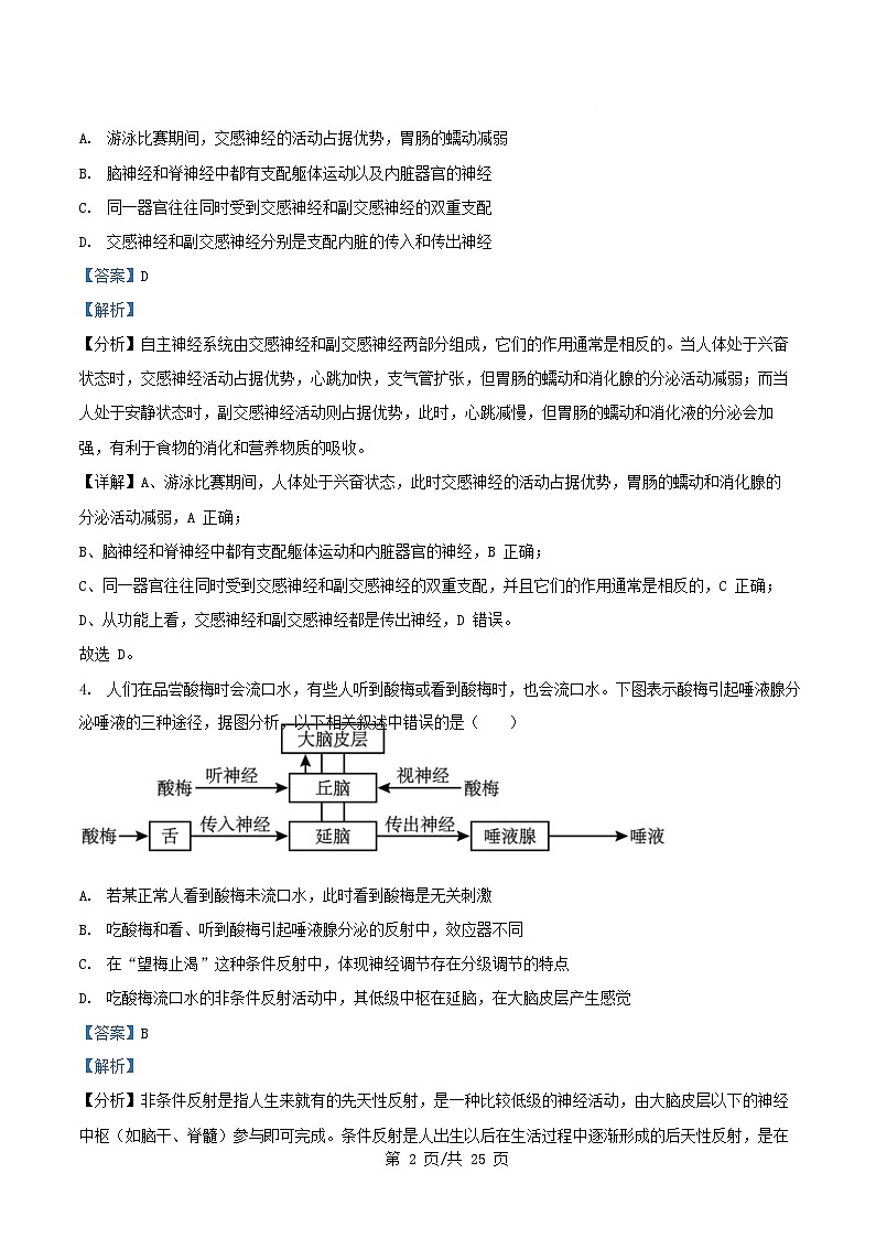 四川省自贡市荣县2025_2026学年高二生物上学期11月期中试题含解析第2页