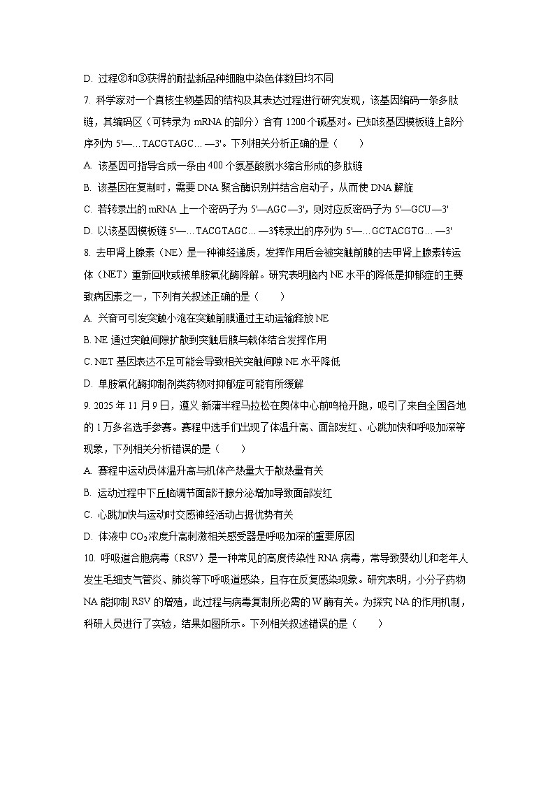 2025-2026学年贵州省名校协作体高三上学期质量监测生物试卷（学生版）月考第3页