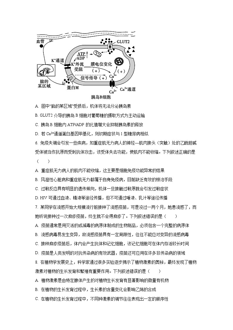 2025-2026学年湖南省湘一联盟高二上学期11月期中生物试卷（学生版）第2页