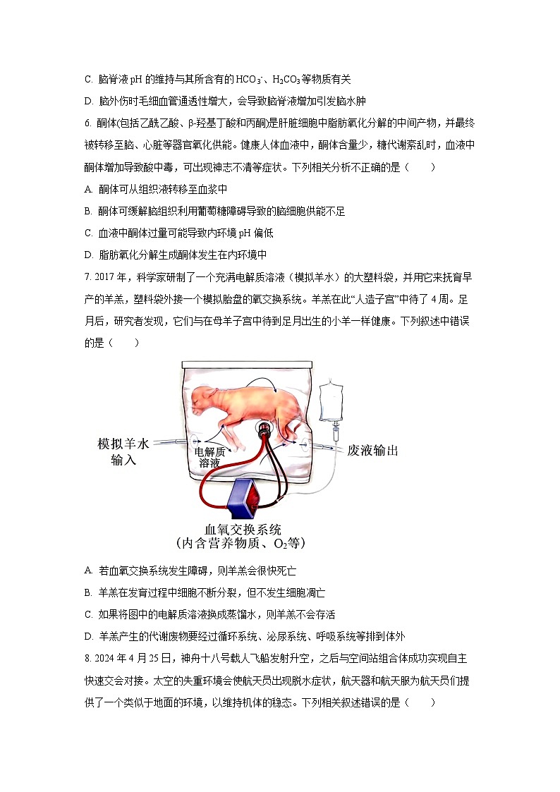 2025-2026学年湖北省武汉市部分学校高二上学期期中质量检测生物试卷（学生版）第2页
