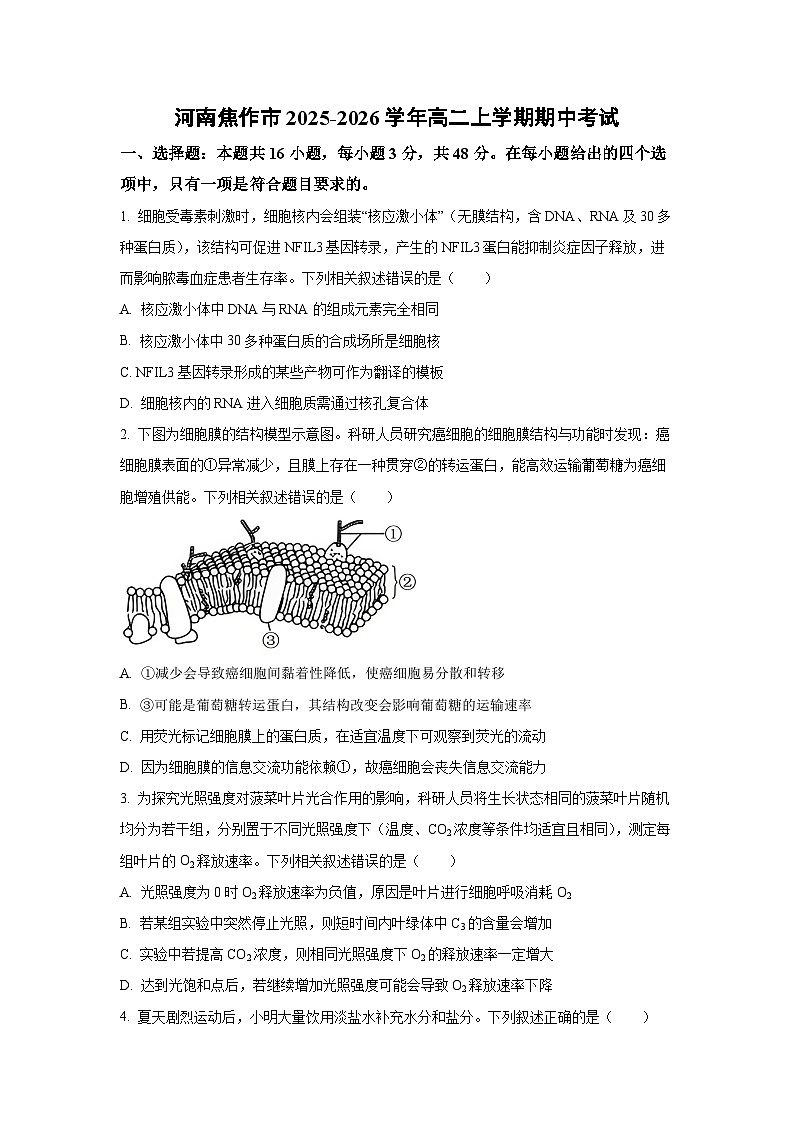 2025-2026学年河南焦作市高二上学期期中考试生物试卷（学生版）第1页