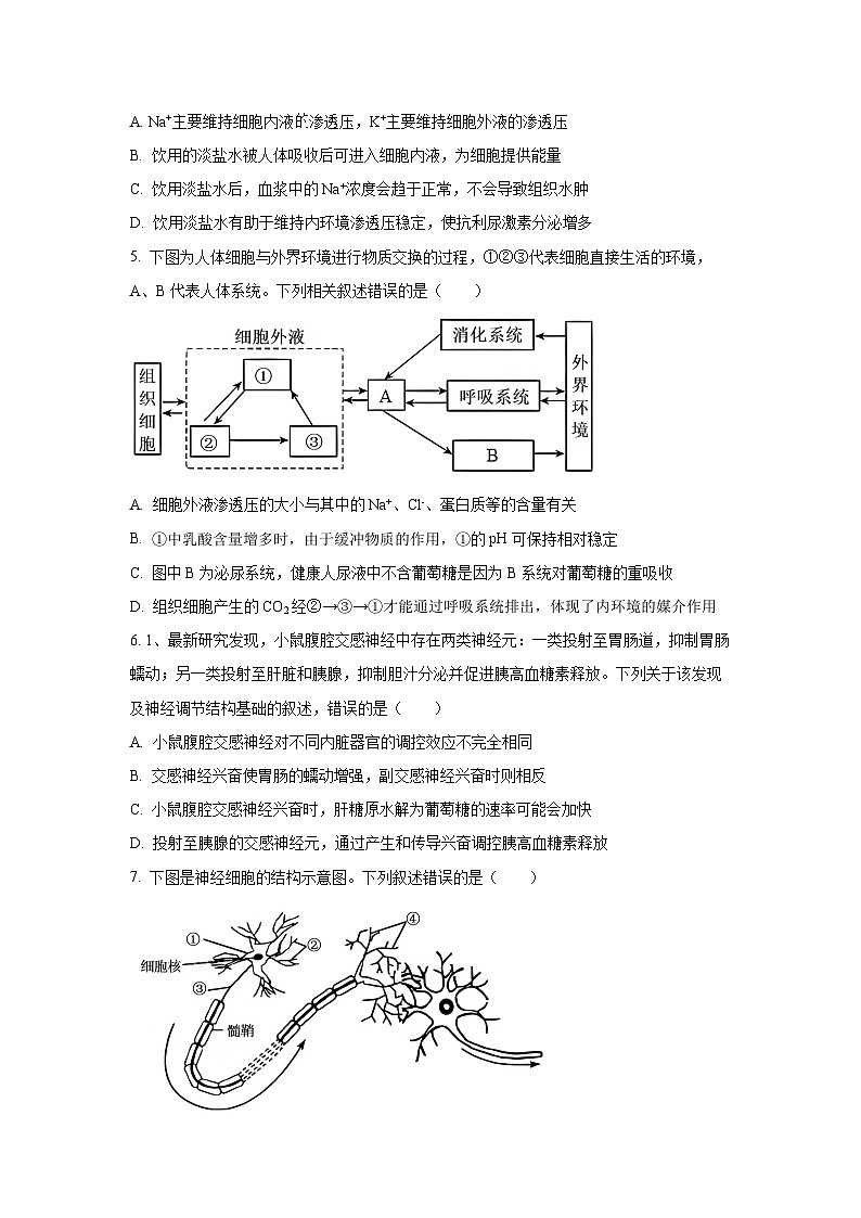 2025-2026学年河南焦作市高二上学期期中考试生物试卷（学生版）第2页