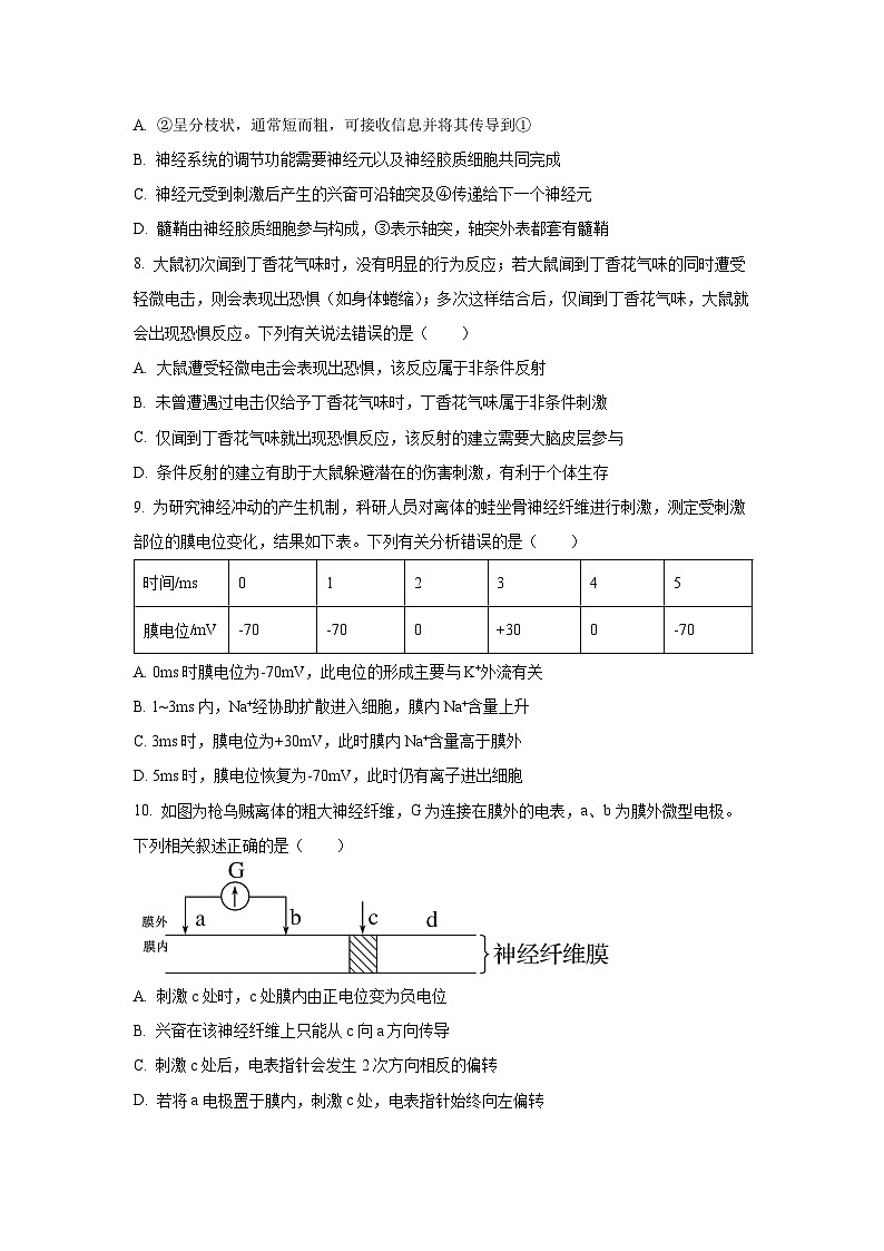 2025-2026学年河南焦作市高二上学期期中考试生物试卷（学生版）第3页