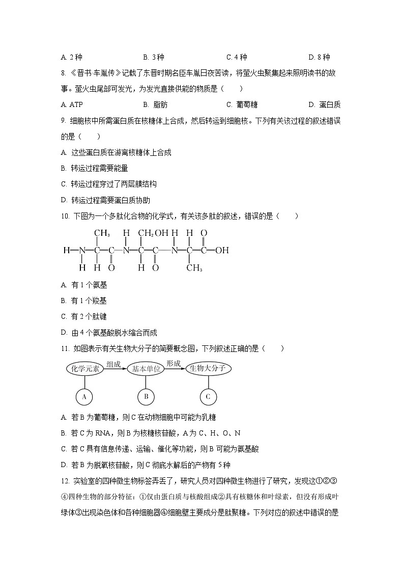 2025-2026学年浙江省山海协作体高一上学期11月期中生物试卷（学生版）第2页