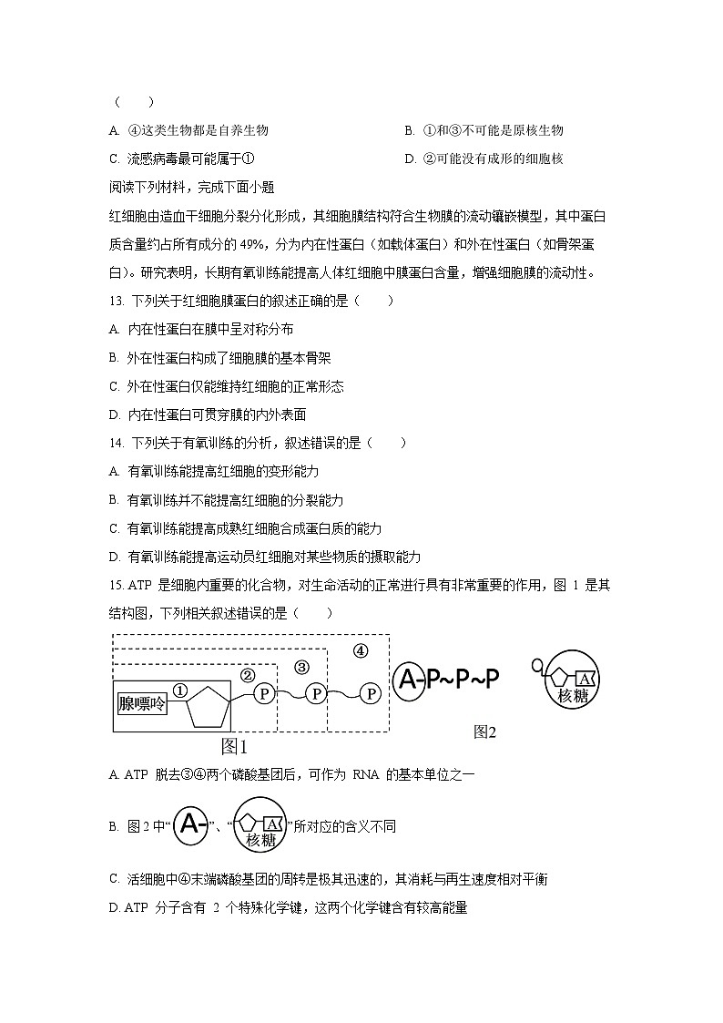 2025-2026学年浙江省山海协作体高一上学期11月期中生物试卷（学生版）第3页