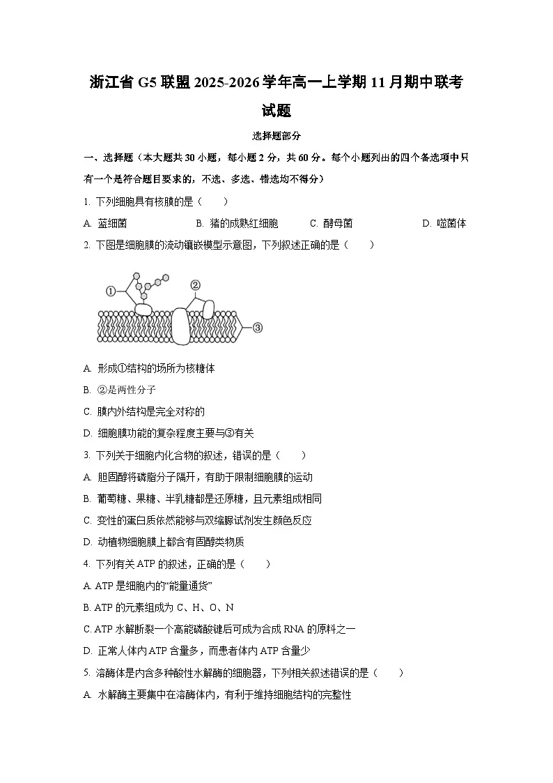 2025-2026学年浙江省G5联盟高一上学期11月期中联考生物试卷（学生版）第1页