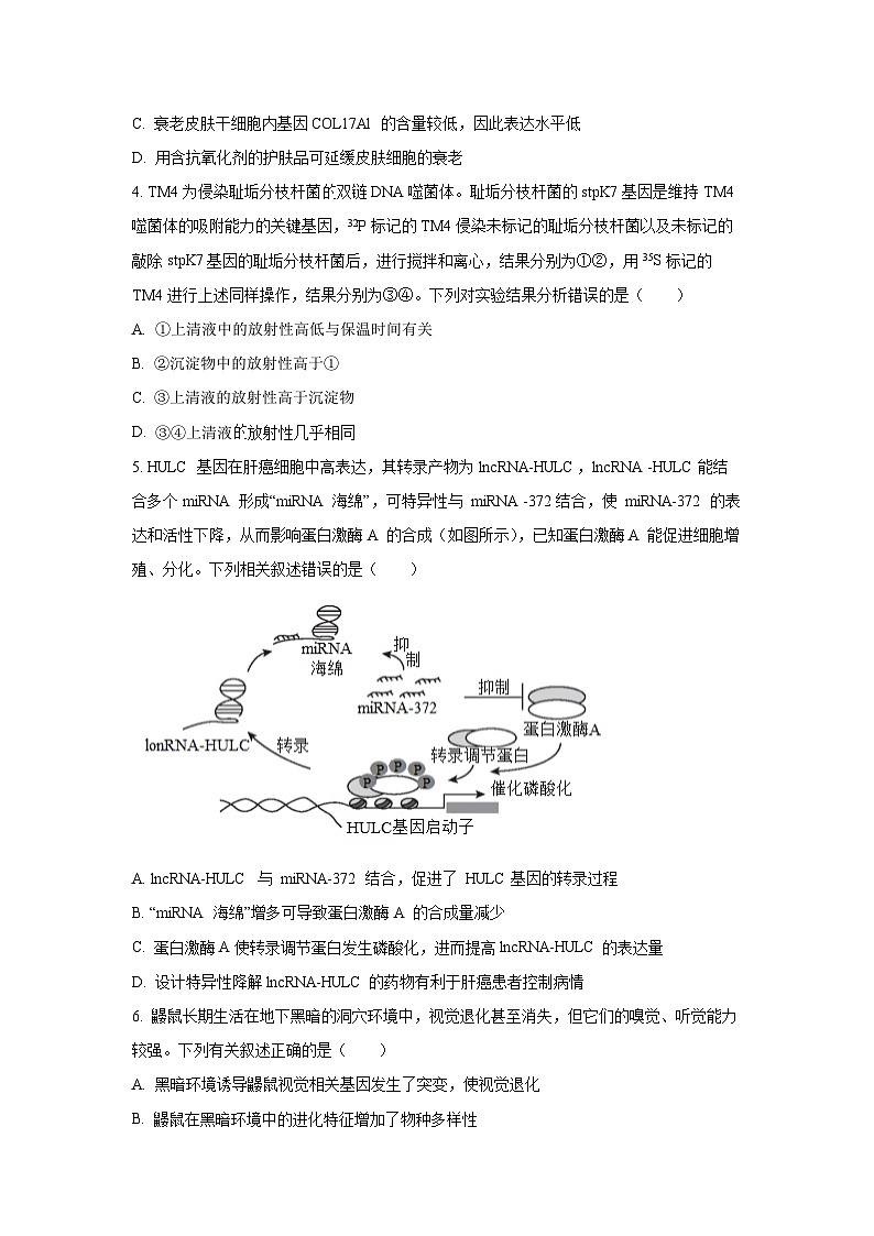 2025-2026学年河北省高三上学期12月期中生物试卷（学生版）第2页