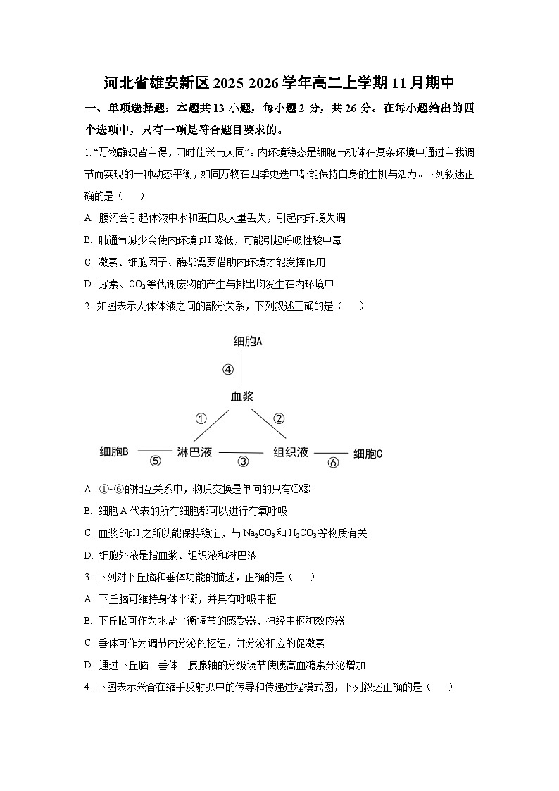 2025-2026学年河北省雄安新区高二上学期11月期中生物试卷（学生版）第1页