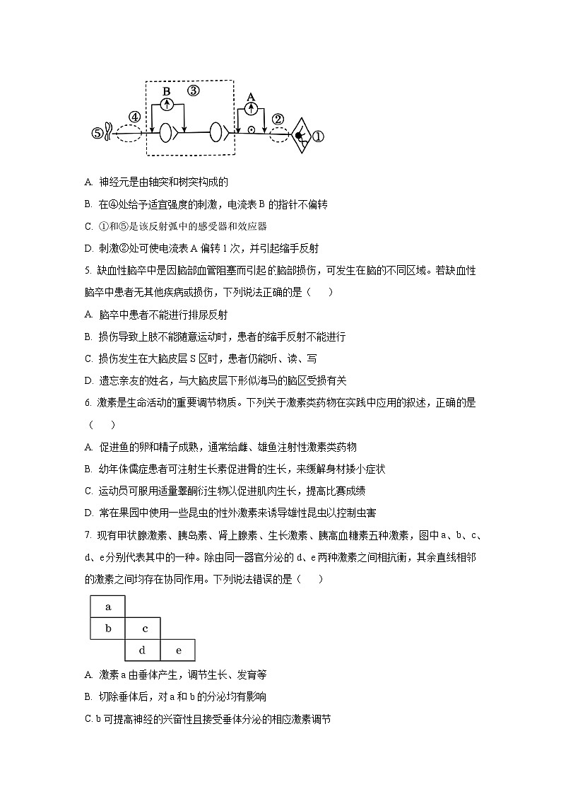 2025-2026学年河北省雄安新区高二上学期11月期中生物试卷（学生版）第2页