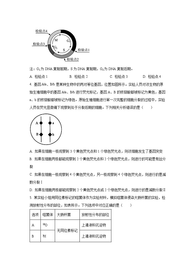 2025-2026学年河北省部分学校高三上学期12月月考生物试卷（学生版）第2页