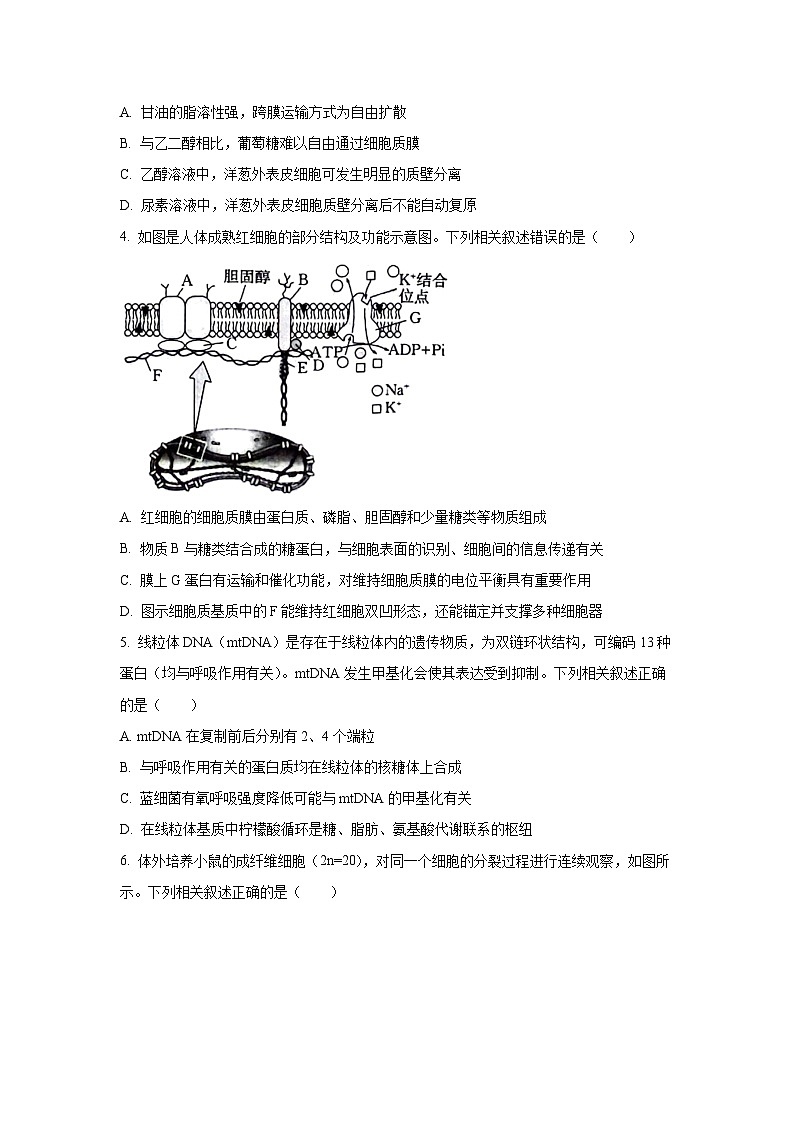 2025-2026学年江苏省部分学校高三上学期12月联考生物试卷（学生版）第2页