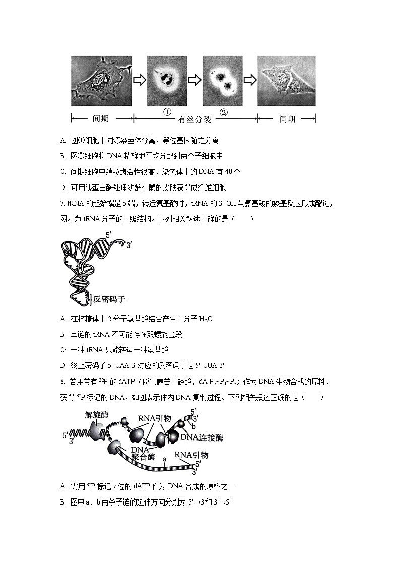 2025-2026学年江苏省部分学校高三上学期12月联考生物试卷（学生版）第3页