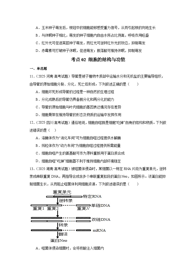 2025年高考生物试题分类汇编 专题01  细胞的物质基础和结构基础第3页