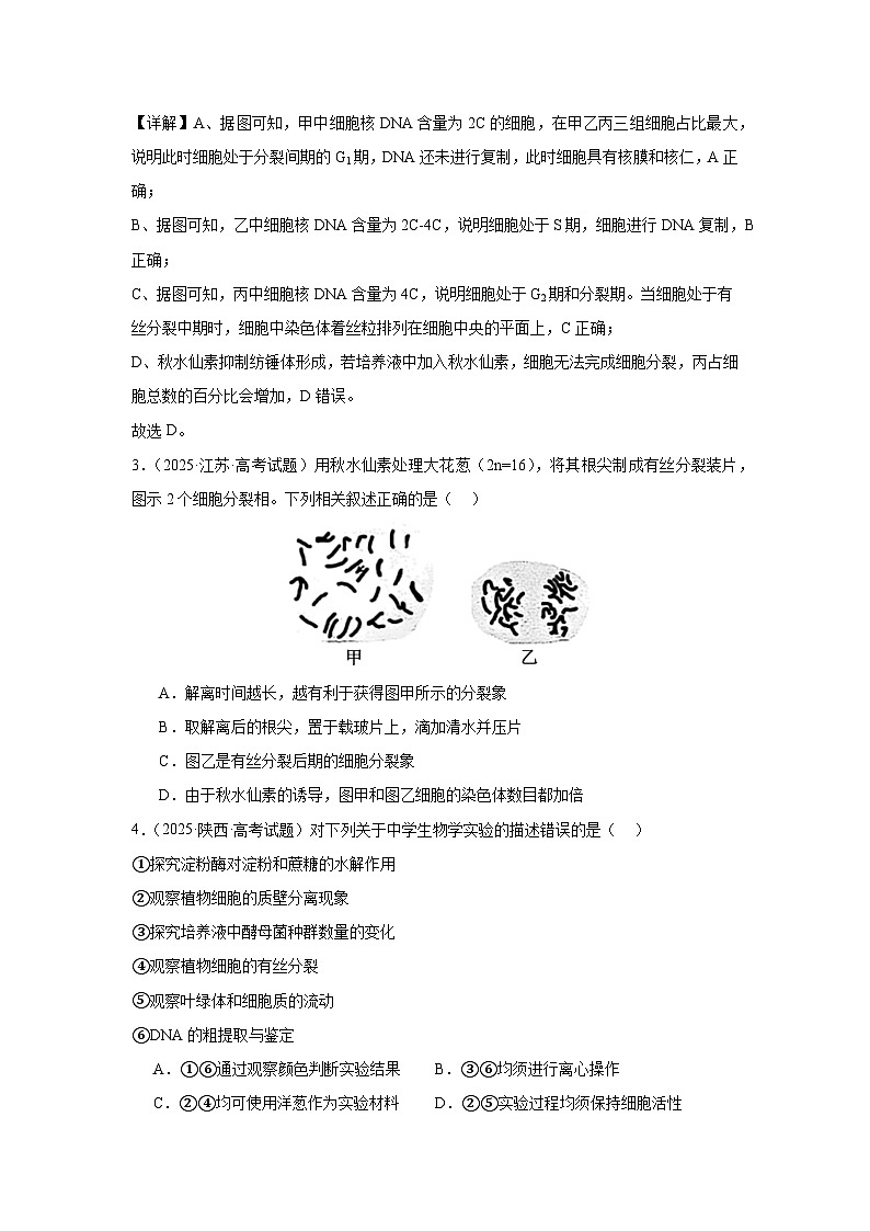 2025年高考生物试题分类汇编 专题04 细胞的生命历程第2页