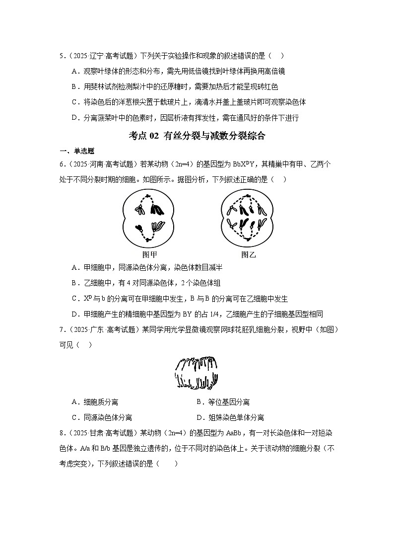 2025年高考生物试题分类汇编 专题04 细胞的生命历程第3页
