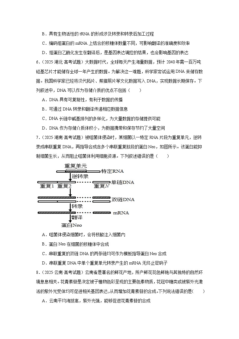 2025年高考生物试题分类汇编 专题06  遗传的分子基础第2页
