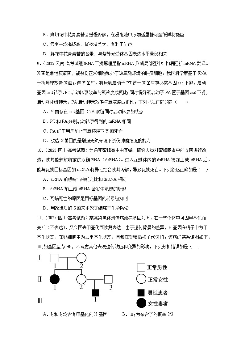 2025年高考生物试题分类汇编 专题06  遗传的分子基础第3页