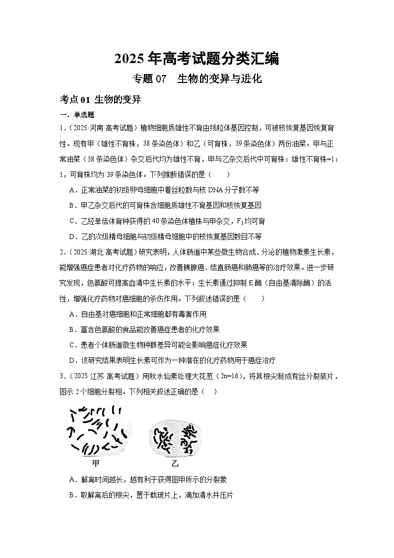 2025年高考生物试题分类汇编 专题07  生物的变异与进化第1页