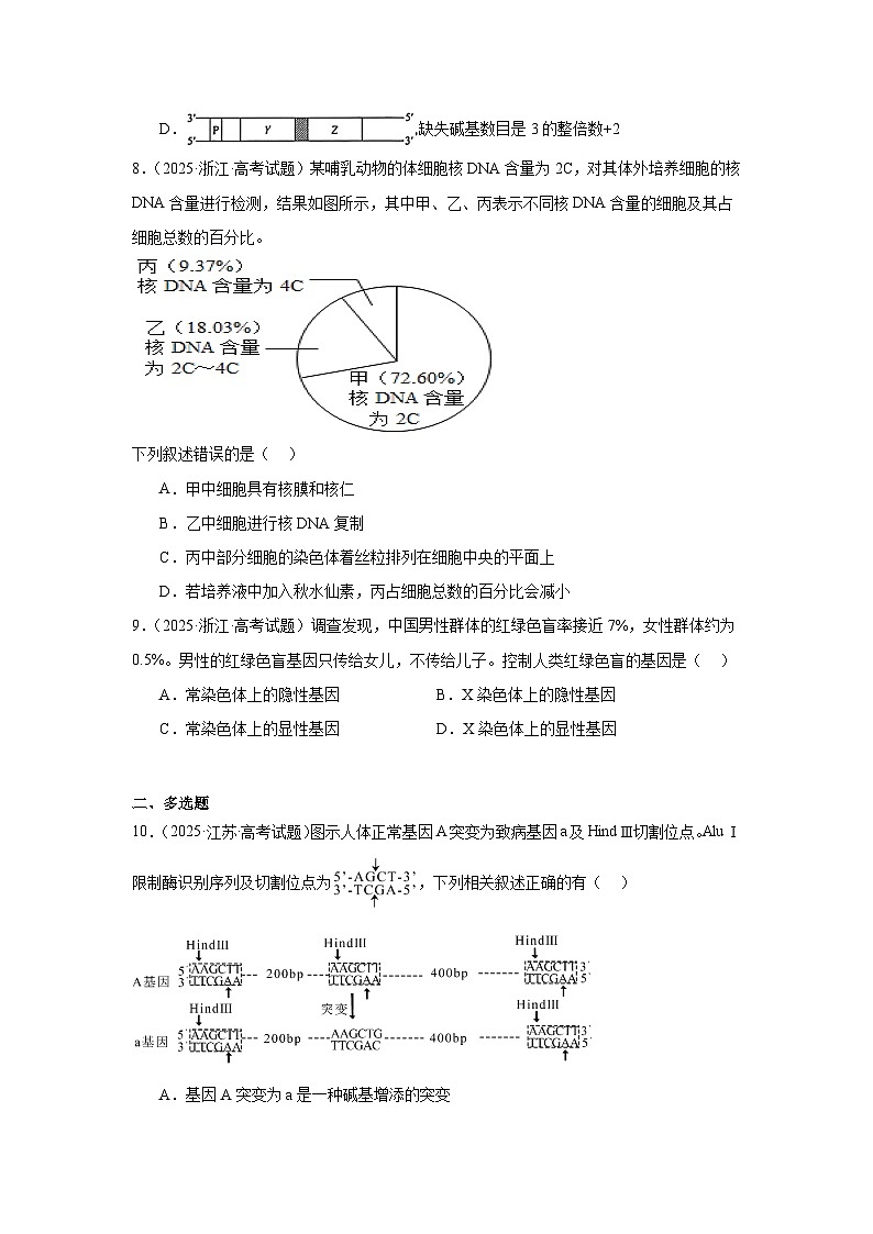 2025年高考生物试题分类汇编 专题07  生物的变异与进化第3页