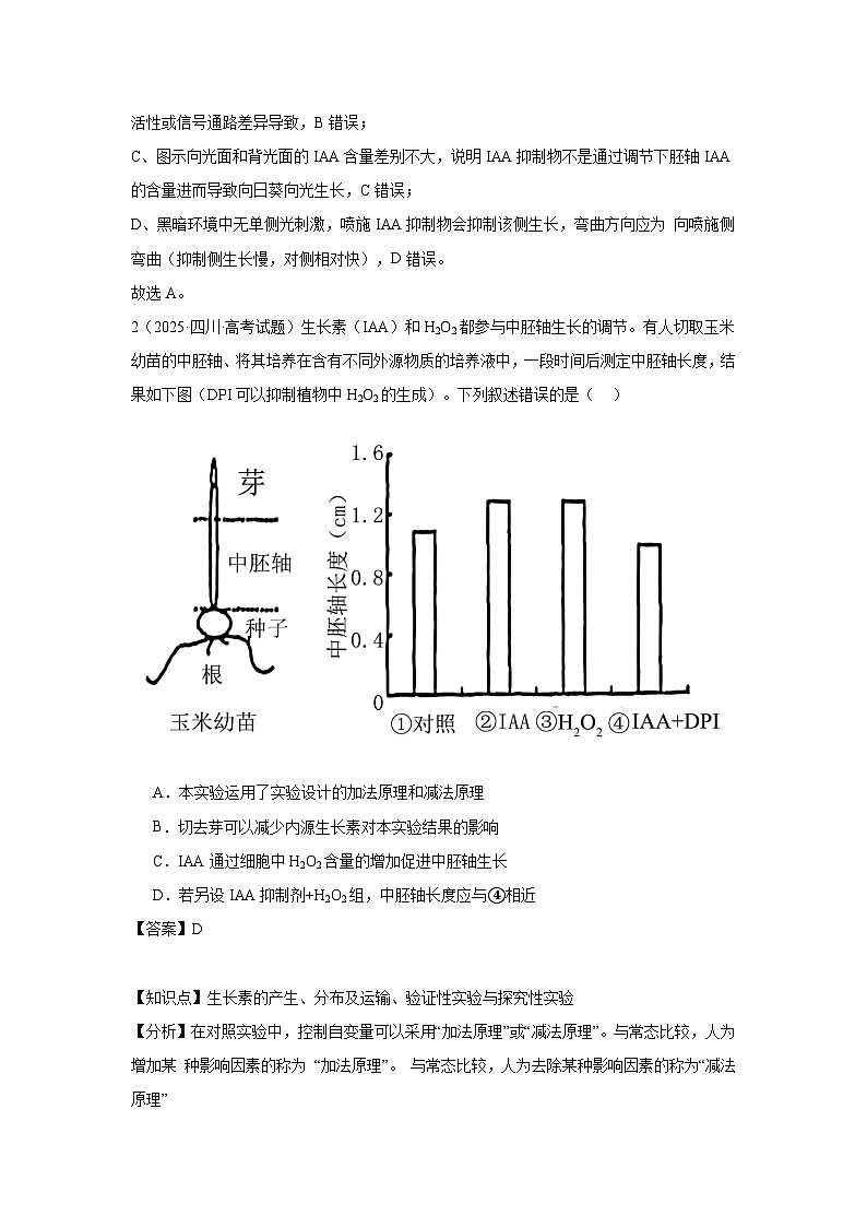 2025年高考生物试题分类汇编 专题11  植物生命活动的调节第2页