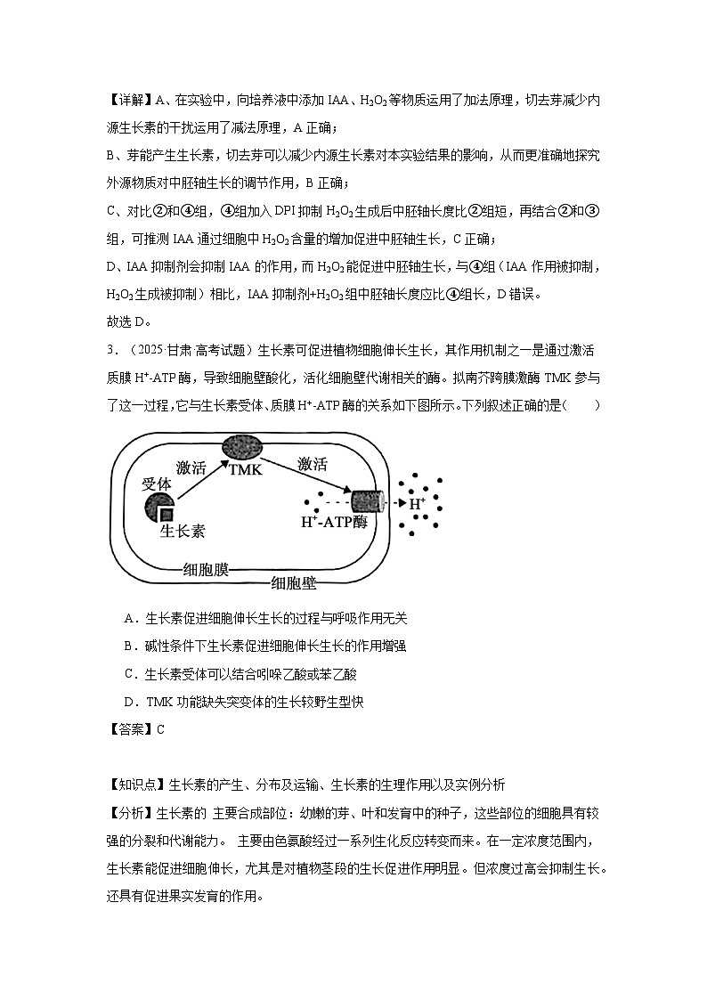 2025年高考生物试题分类汇编 专题11  植物生命活动的调节第3页