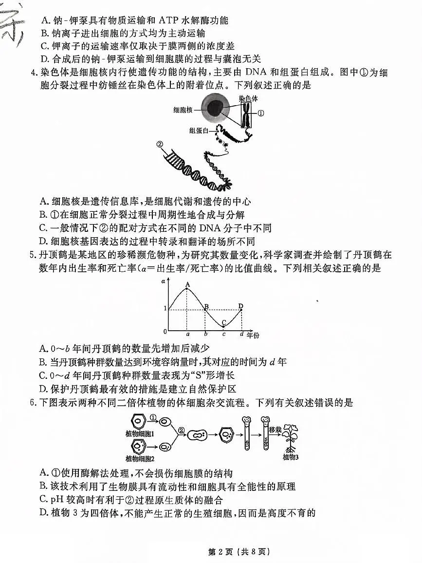 甘肃省白银市靖远县第四中学2024-2025学年高三下学期3月月考生物试题第2页