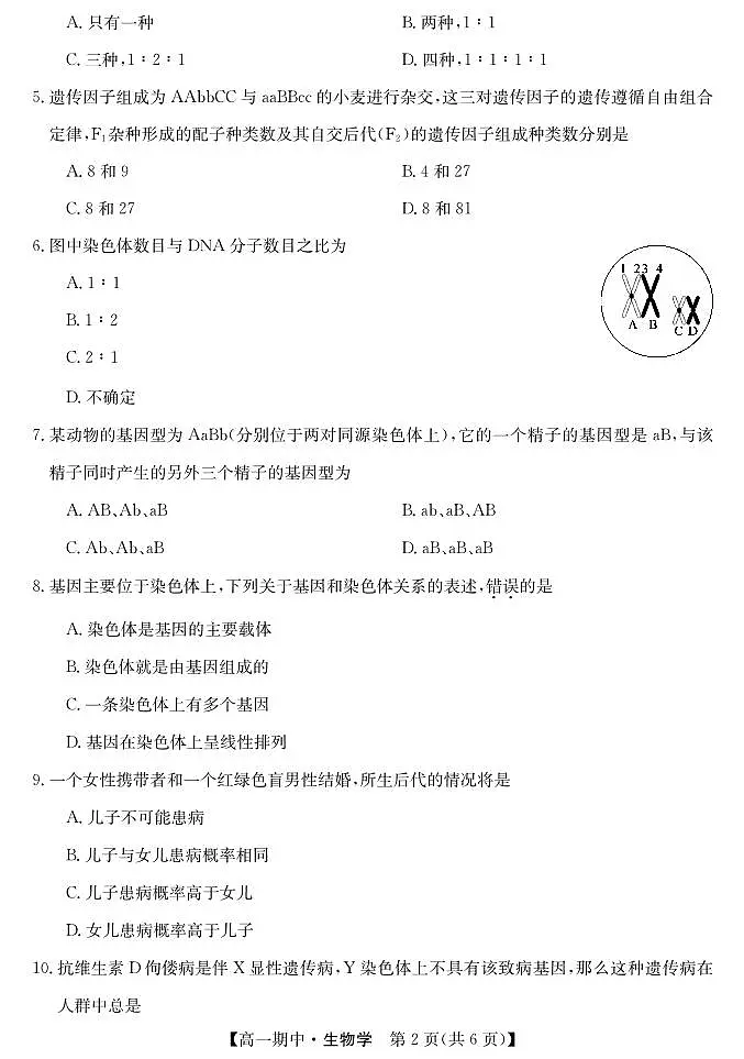 甘肃省庆阳市华池县第一中学2024-2025学年高一下学期4月期中生物试题第2页