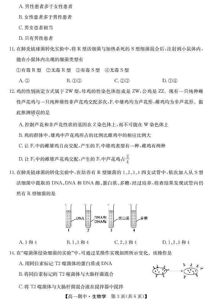 甘肃省庆阳市华池县第一中学2024-2025学年高一下学期4月期中生物试题第3页