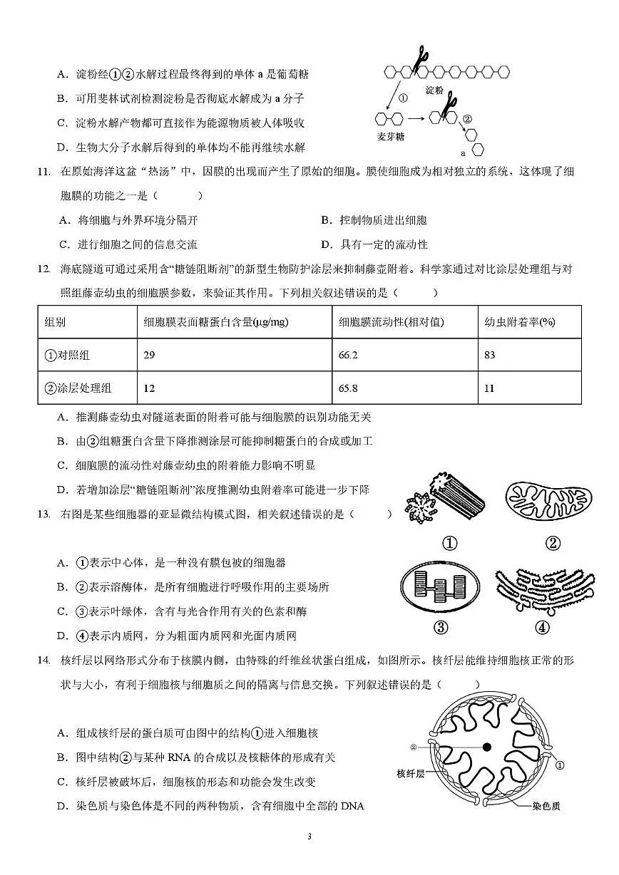 四川省自贡市第四中学校2025-2026学年高一上学期12月考试综合素质测评生物试卷第3页