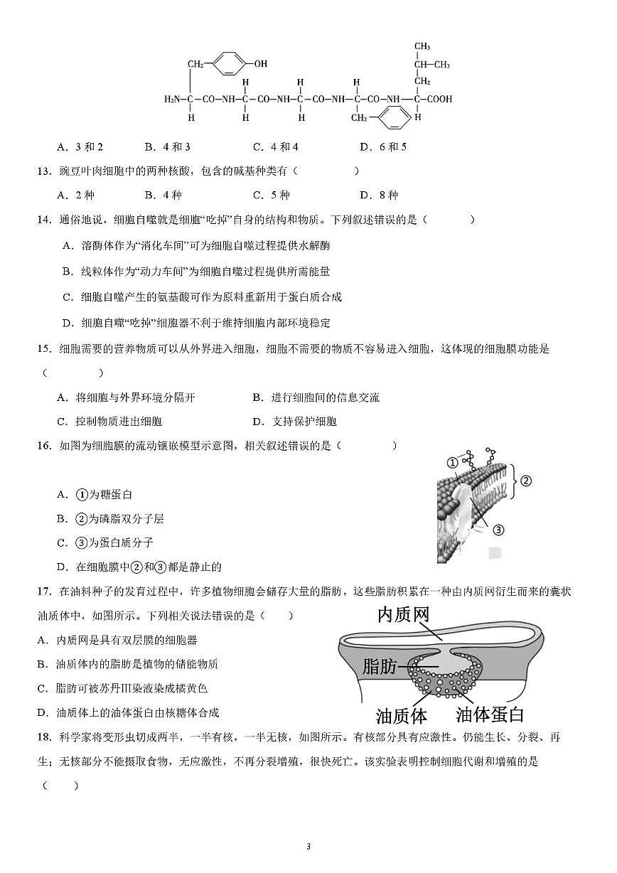 四川省自贡市第四中学校2025-2026学年高一上学期期中综合素质测评生物试卷第3页