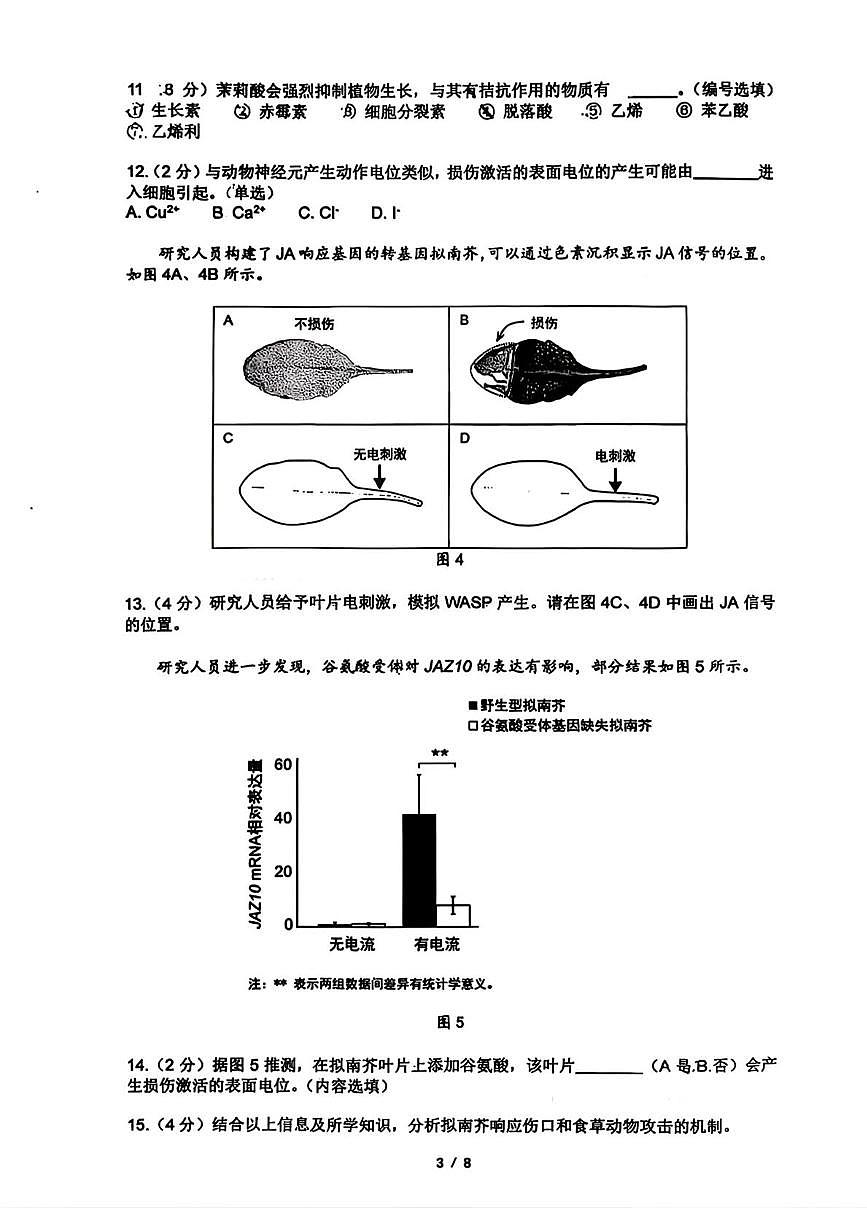 上海市七宝中学2025-2026学年高三上学期期中考试生物试卷第3页