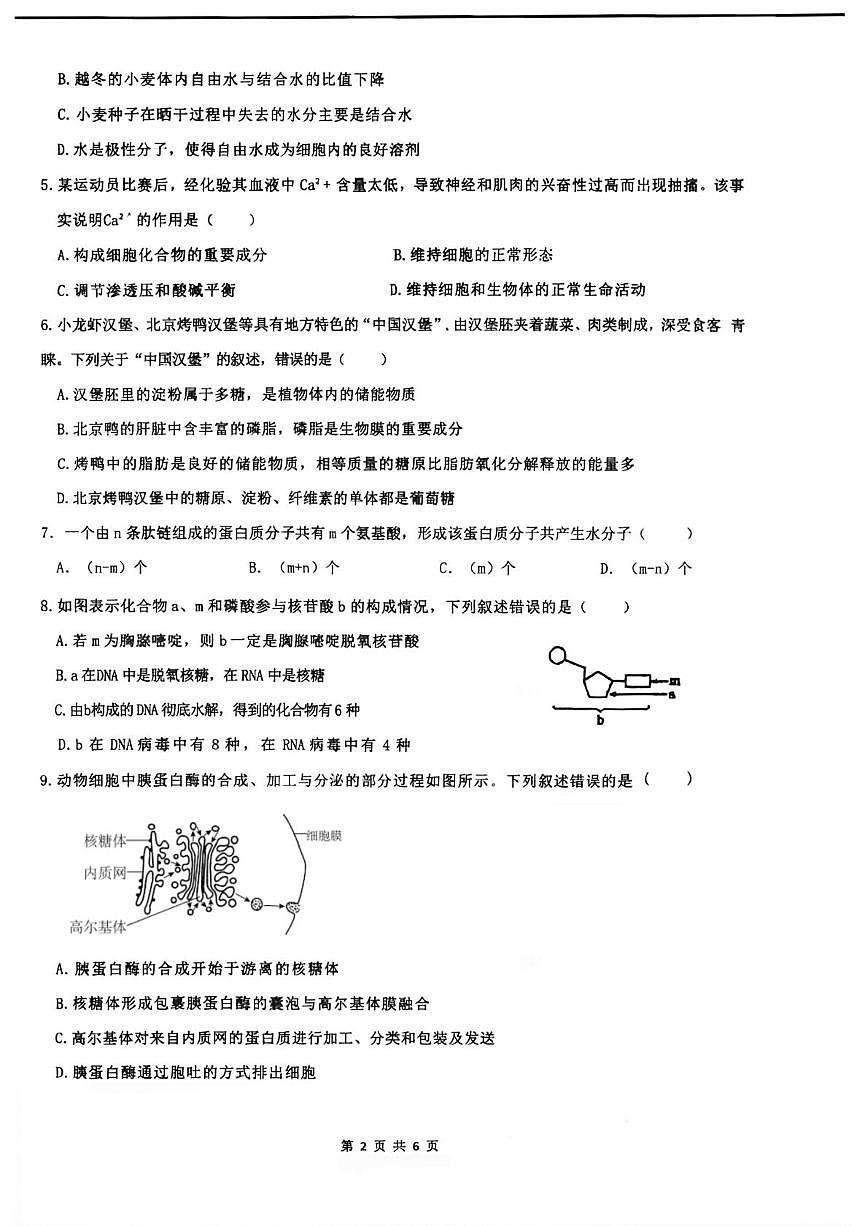 甘肃省兰州市外国语高级中学2025-2026学年高一上学期期末生物试卷第2页