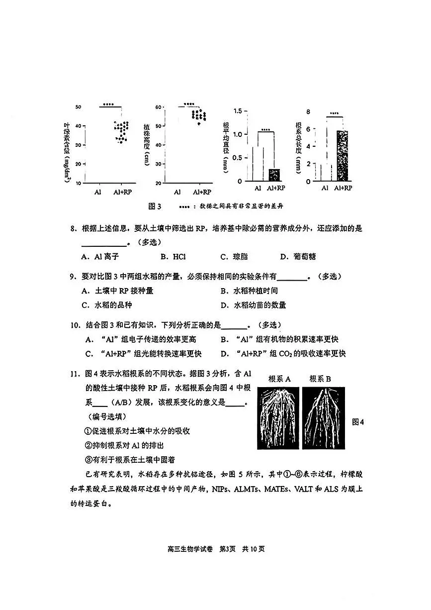 2026届上海市浦东新区高三上学期期末教学质量检测（一模）生物试题第3页