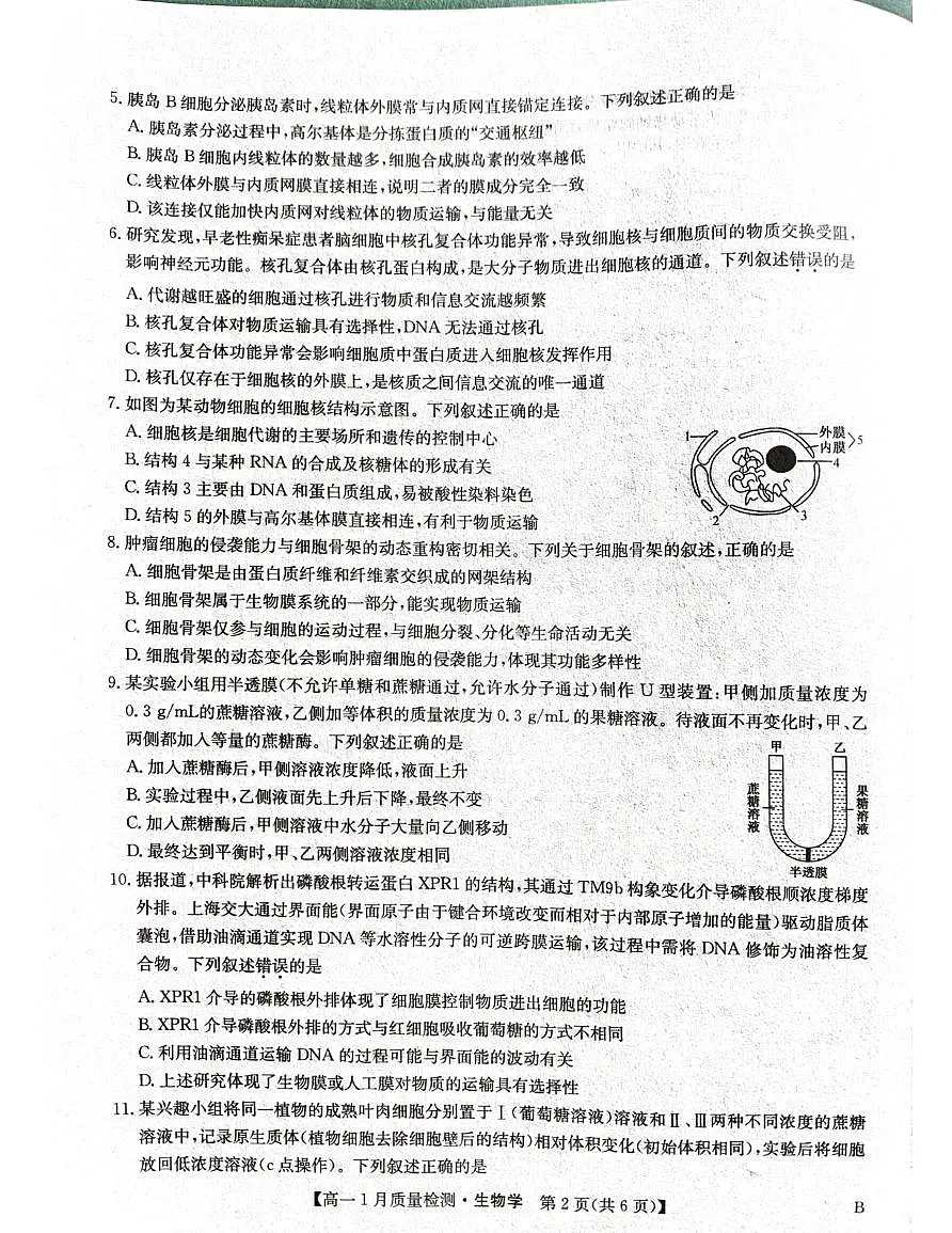 河南省安阳市2024-2025学年高一下学期期末考试生物试题第2页