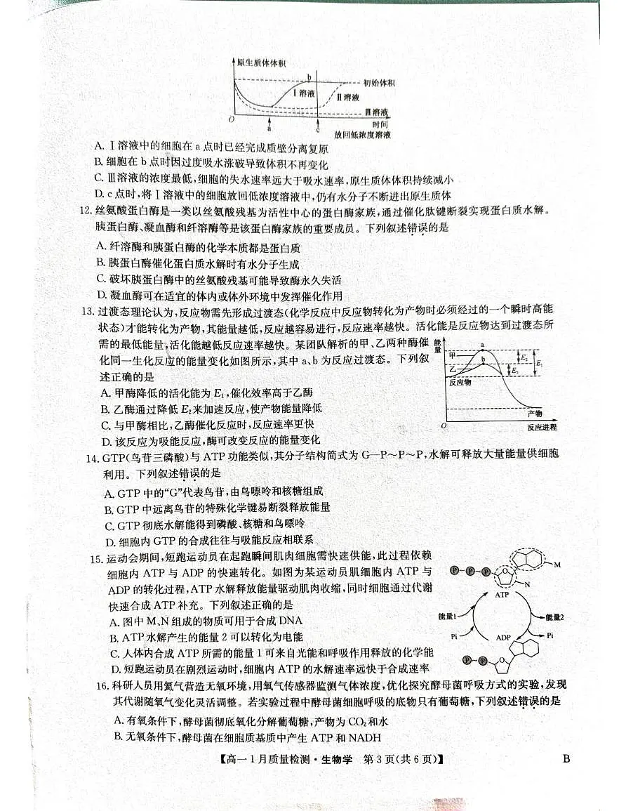 河南省安阳市2024-2025学年高一下学期期末考试生物试题第3页