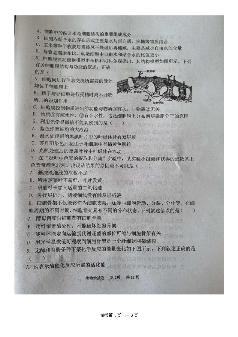 黑龙江省鸡西市第一中学校2025-2026学年高一上学期期末生物试卷第2页