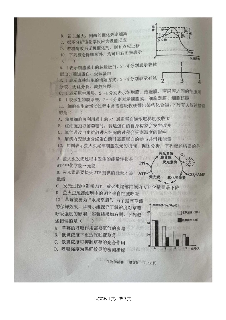 黑龙江省鸡西市第一中学校2025-2026学年高一上学期期末生物试卷第3页