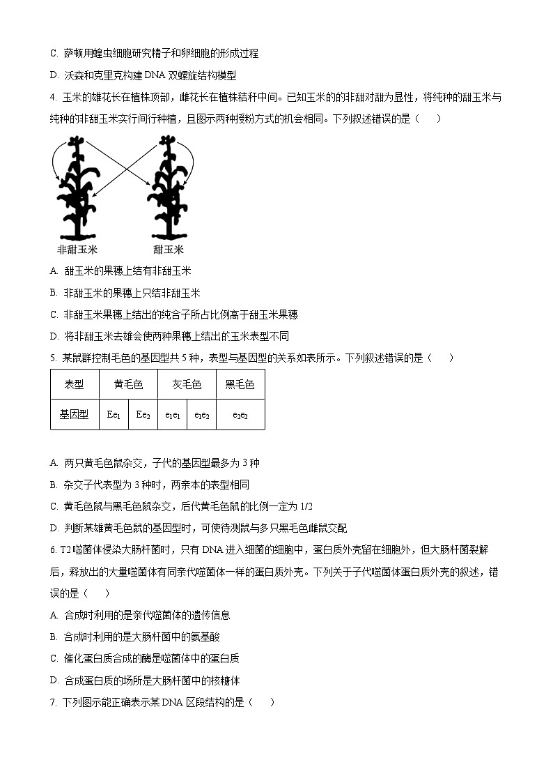 精品解析：广东省河源市部分学校2023-2024学年高一下学期5月期中联考生物试题（原卷版）第2页