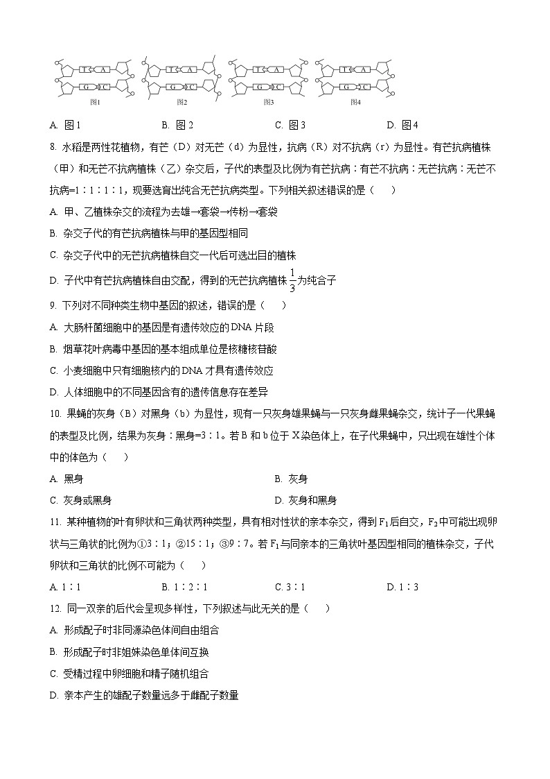 精品解析：广东省河源市部分学校2023-2024学年高一下学期5月期中联考生物试题（原卷版）第3页