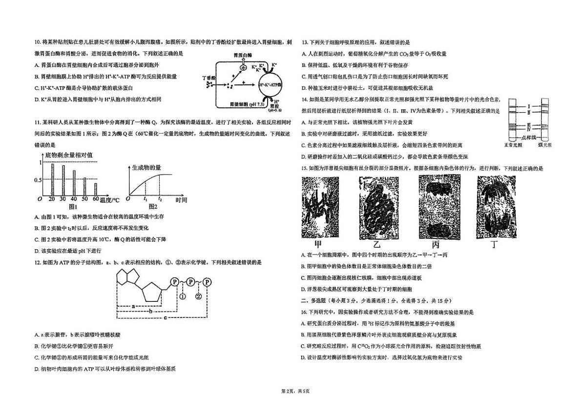 吉林省长春市汽车经济技术开发区第三中学2025-2026学年高一上学期1月期末生物试题第2页