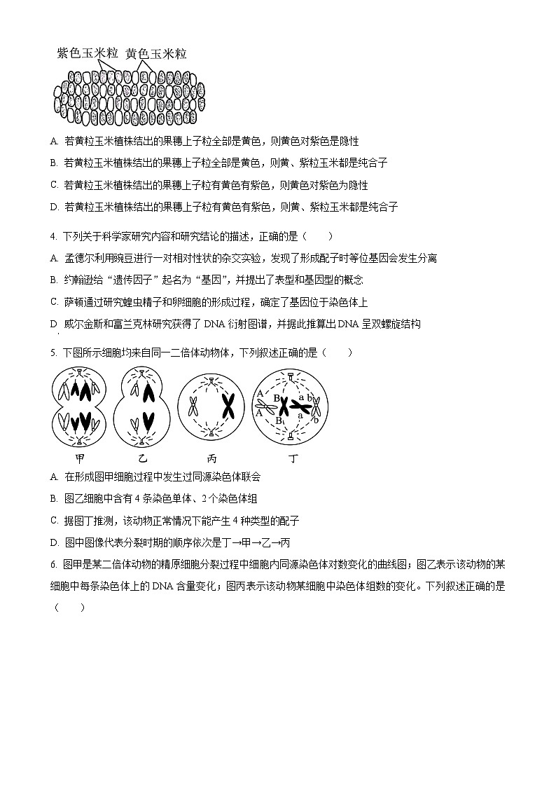 精品解析：河北省保定市2023-2024学年高一下学期期末调研考试生物试题（原卷版）第2页